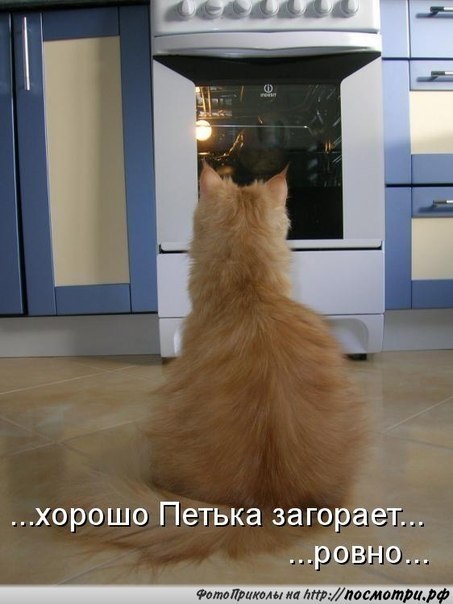    - 24  2018  02:58