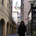 ������ �� ������� ���� ����������