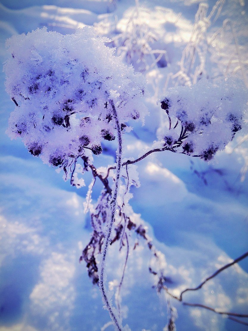       !!! - 4