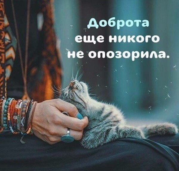  - 12  2018  02:55
