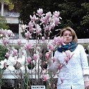 ���� �����, �������� - ��������� 22 ����� 2018 � ������ ���� ����������