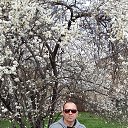 ���� �������, ���������, 51 ��� - ��������� 2 ������ 2018 � ������ ���� ����������