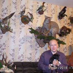 ��������, ���������, 52 ����