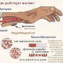 ���� ��������, ������� ��������, 65 ��� - ��������� 1 ������� 2017 � ������ ������ ��������