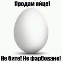  S/w/a/t,  -  26  2018    