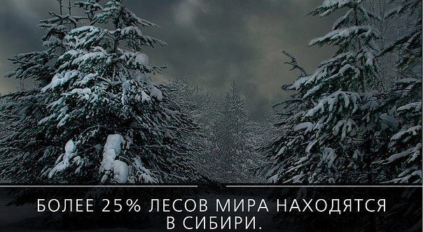   :    - 8  2018  03:54