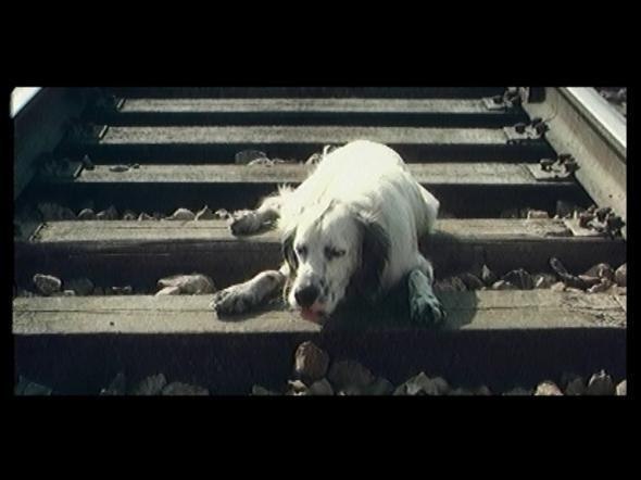 - � ���� ��������� ����� �����-�� ���� �������. � ����� ��� ������ ���