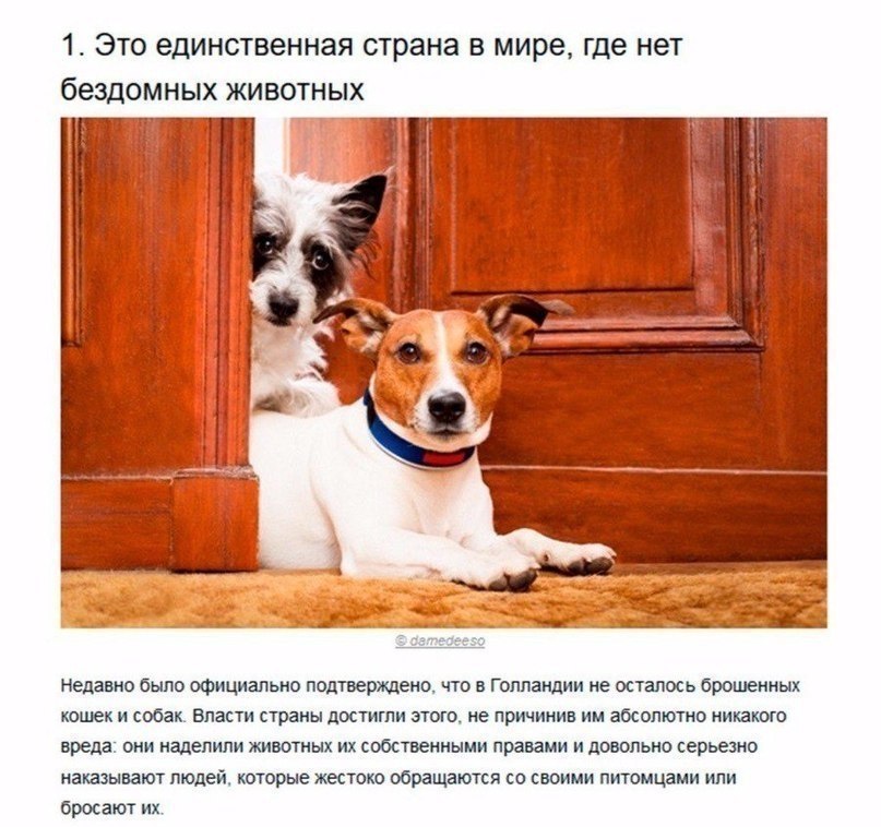 7 �������������, ��� ��������� � ��� ������ ��������.
