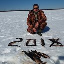 ���� ������, �����, 51 ��� - ��������� 6 ������ 2018