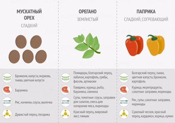 Чтобы ваши блюда были еще вкуснее используйте специи правильно - 4