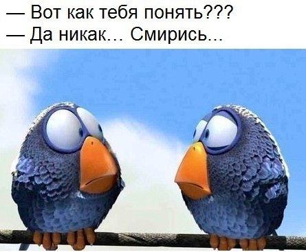 ������ ����� - 27 ������� 2017 � 03:34