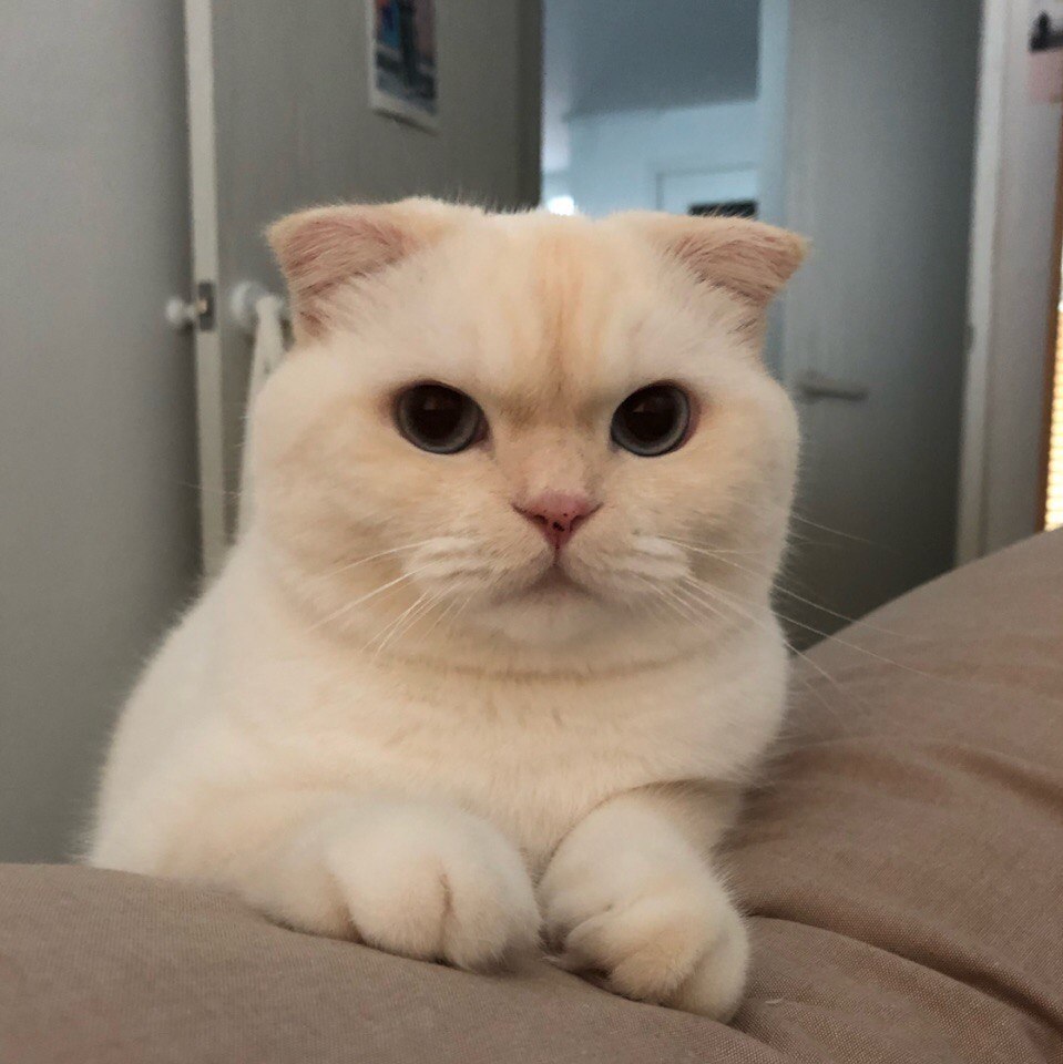  : - 5