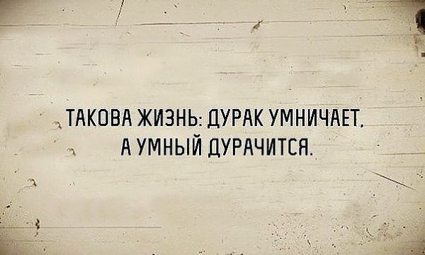 Отец 16-ти детей ищет ту скотину, которая на свадьбе желала детей, как звёзд на небе :D - 4