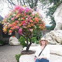 ���� ������, ����������� - ��������� 29 ������ 2017 � ������ ��������