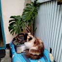 ���� ����, ���� - ��������� 20 ������ 2018 � ������ ������ ��������