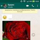 ���� ������, ���������, 50 ��� - ��������� 23 ������ 2017