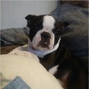 ���� �������, ������, 40 ��� - ��������� 1 ������ 2018 � ������ ���� ����������