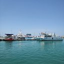  , , 53  -  28  2018    2018