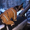 ���� �������, �����-���������, 58 ��� - ��������� 15 ������ 2018 � ������ ���� ����������