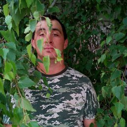 ������, ���������, 32 ����