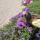 ���� ���, ������ �������� - ��������� 13 ���� 2018 � ������ �����������