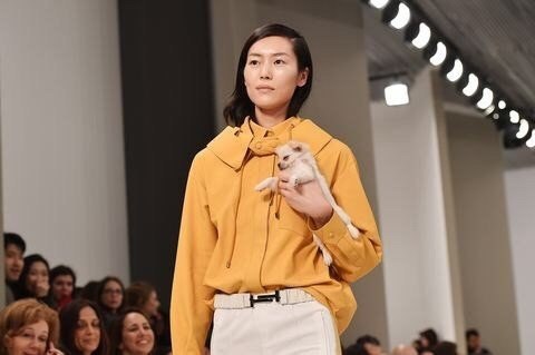   TodS Fall 2018,     . - 8