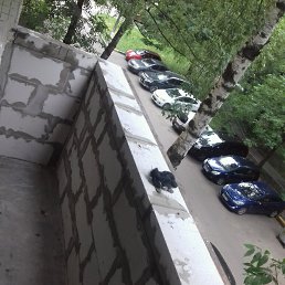 ���� ����, ������, 45 ��� - ��������� 11 ���� 2018