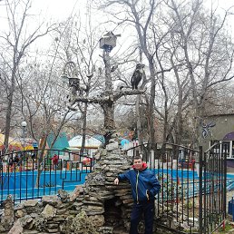 ������, �����������, 44 ����