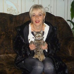 �������, ������, 50 ���