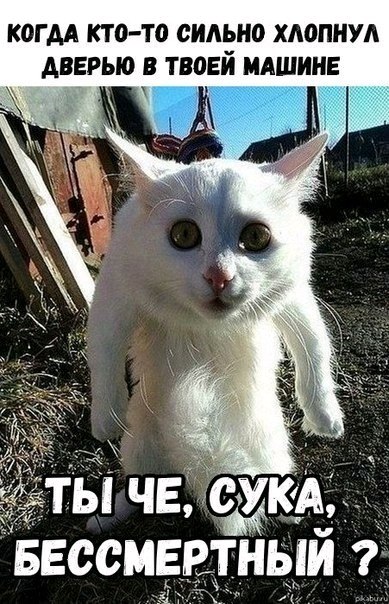 ������� - 4 ��� 2018 � 22:24