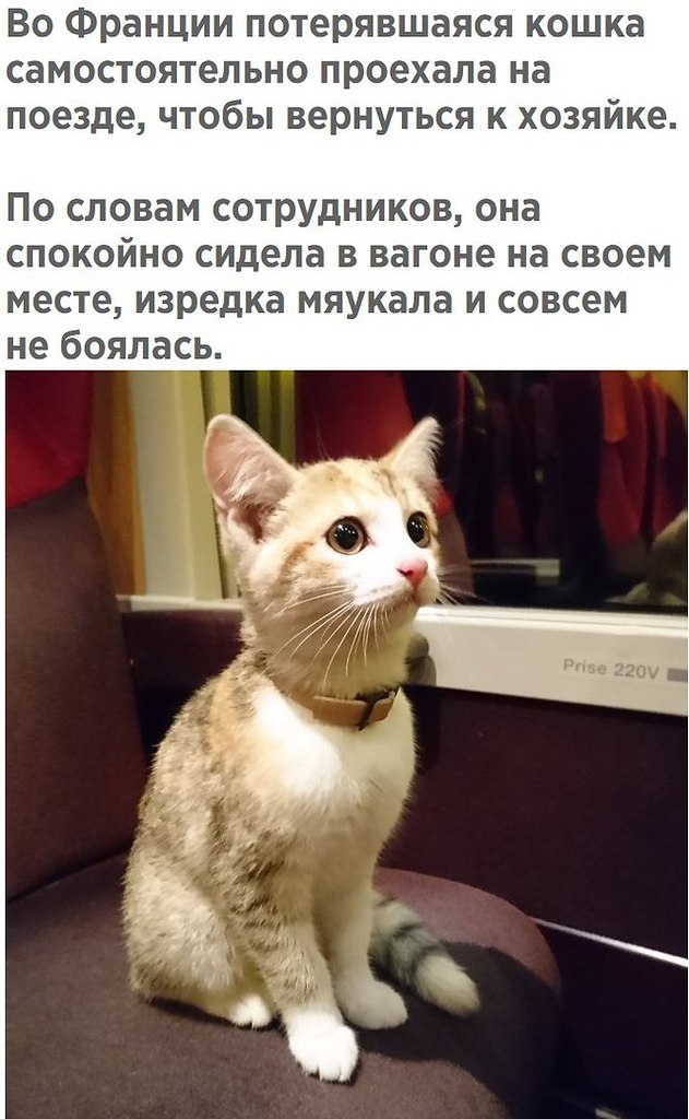   - 18  2018  21:45