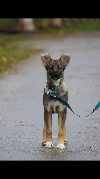 ������ - 15 ������ 2018 � 02:31