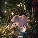 ���� Aleksandr, �����-��������� - ��������� 5 ������ 2018 � ������ ���� ����������