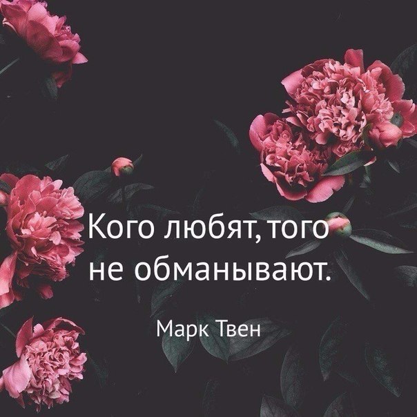    - 7  2017  03:46