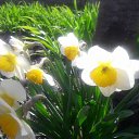 ���� Valentina, ��������������, 60 ��� - ��������� 26 ������ 2018 � ������ ������ ��������