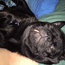 ���� ����, ���������, 53 ���� - ��������� 9 ������� 2017 � ������ ��������