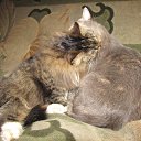 ���� ������, �������, 61 ��� - ��������� 9 ������ 2018 � ������ ����������� ��������� 2018.�