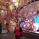 ���� ��������, ���������, 51 ��� - ��������� 31 ��� 2018 � ������ ���� ����������