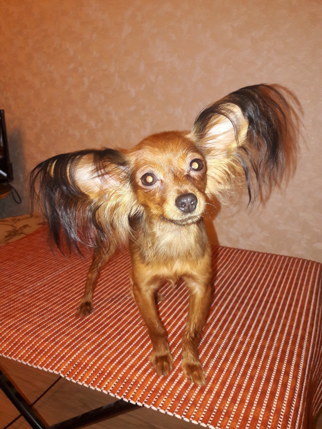  )  )     !   ).  - 11 ... - 3