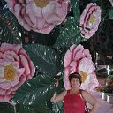 ������� �� ������� ����� ��� ������������