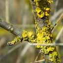 ���� ������, ������-��-����, 46 ��� - ��������� 9 ������ 2018 � ������ ������ ��������