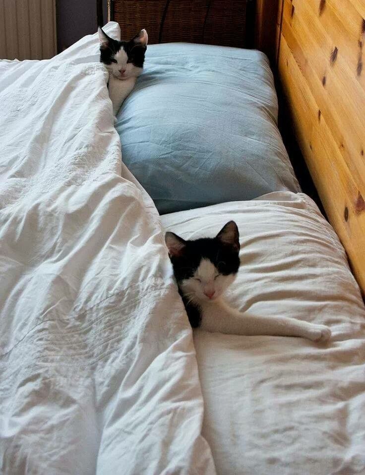   ,  ,               ...