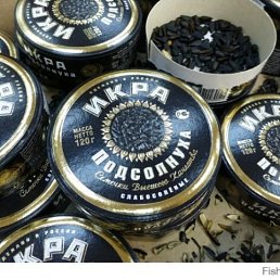 ���������, �����������