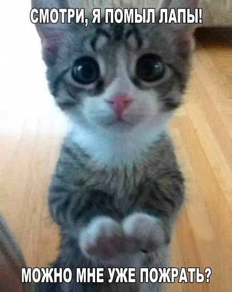 Nightjar - 22  2018  09:27 - 24