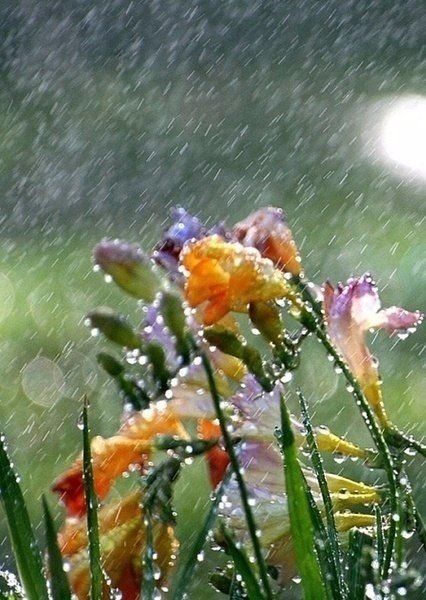 Как много знающих, как жить... Как мало счастливо живущих! - 2