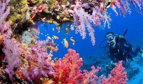 Красное море — самое молодое, самое соленое, самое красивое и самое богатое. - 5
