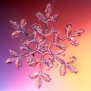 ���� �������, ����� - ��������� 26 ������� 2017 � ������ ���� ����������