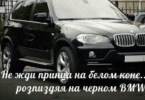 ���� �����, ����������� - ��������� 21 ������ 2018 � ������ ������ ��������