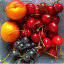 ���� �������, ���������, 38 ��� - ��������� 19 ���� 2018 � ������ ���� ����������