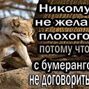 ���� Alekcandr, ������ - ��������� 24 ������ 2018 � ������ �������� ��������